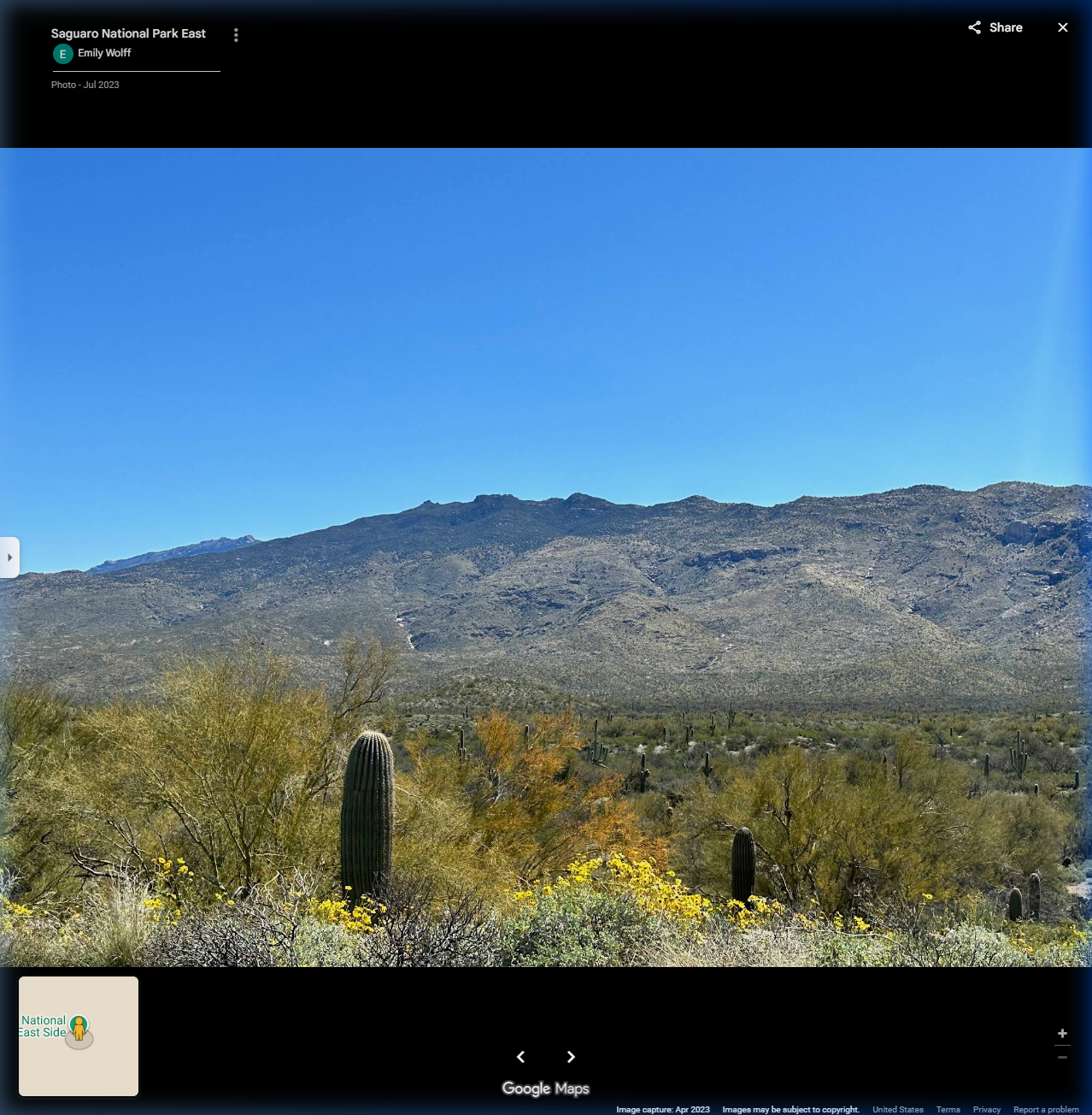 Saguaro National Park East